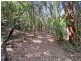 RN43 Stewart Road, Danbulla QLD 4872
