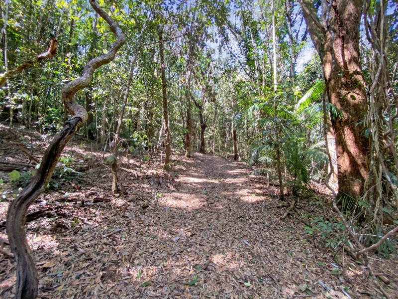RN43 Stewart Road, Danbulla QLD 4872