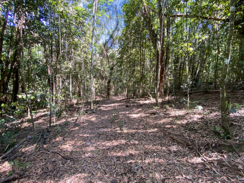 RN43 Stewart Road, Danbulla QLD 4872