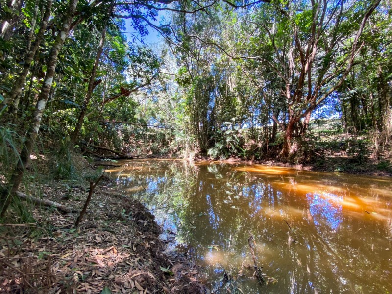RN43 Stewart Road, Danbulla QLD 4872