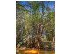 RN43 Stewart Road, Danbulla QLD 4872