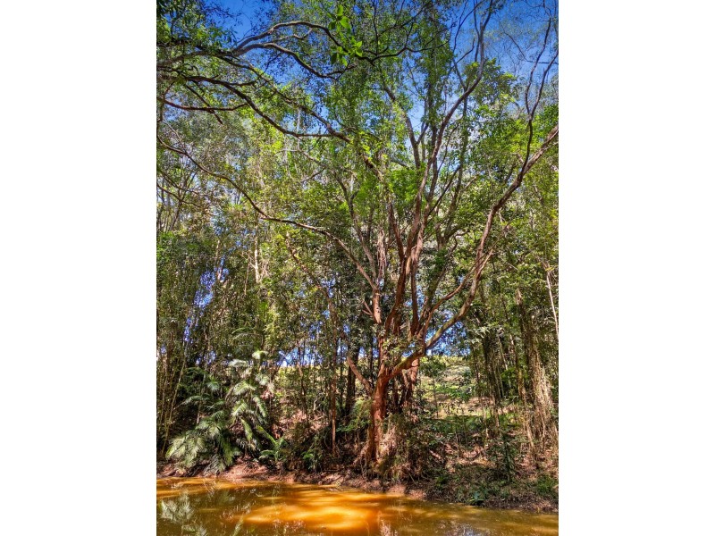 RN43 Stewart Road, Danbulla QLD 4872