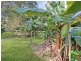 14 Crown Close, Malanda QLD 4885