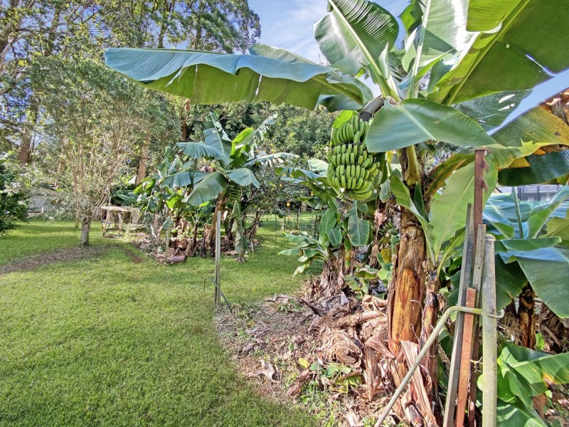 14 Crown Close, Malanda QLD 4885