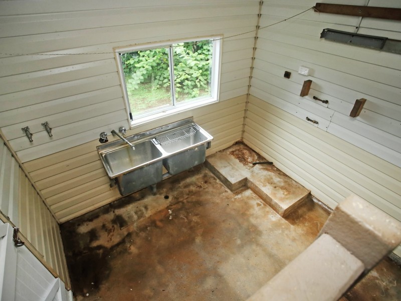 6 Maple Street, Millaa Millaa QLD 4886