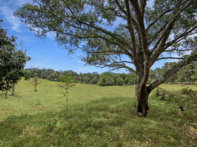 239 Peeramon Road, Peeramon QLD 4885