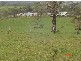 Millaa Millaa QLD 4886