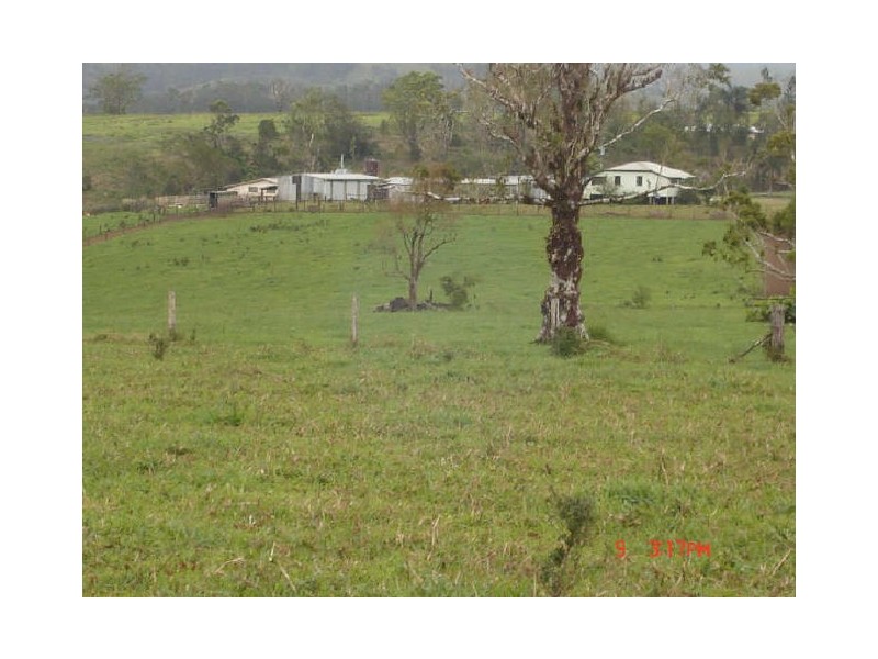 Millaa Millaa QLD 4886