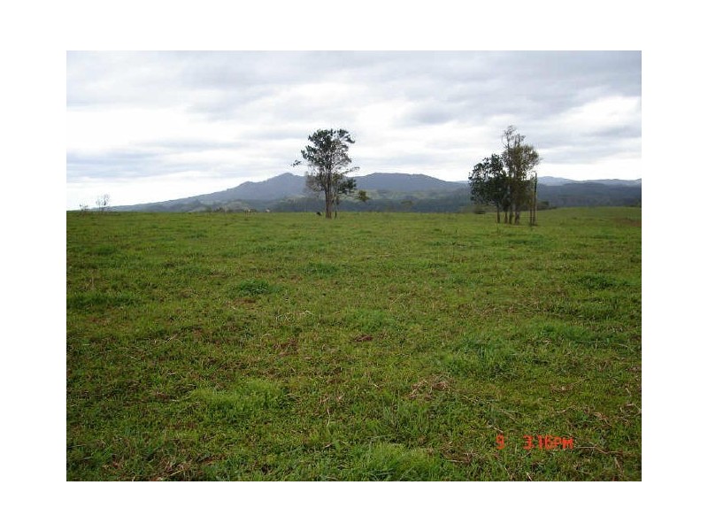 Millaa Millaa QLD 4886