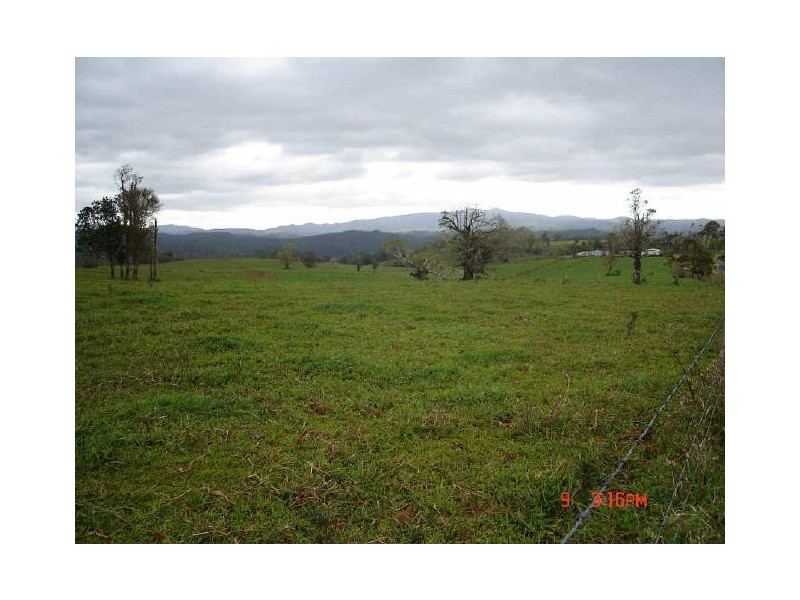 Millaa Millaa QLD 4886