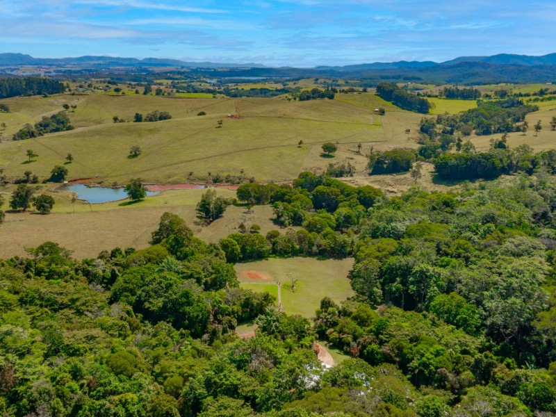 3066 Gillies Range Road, Lake Barrine QLD 4884