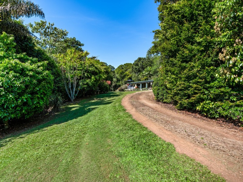 3066 Gillies Range Road, Lake Barrine QLD 4884