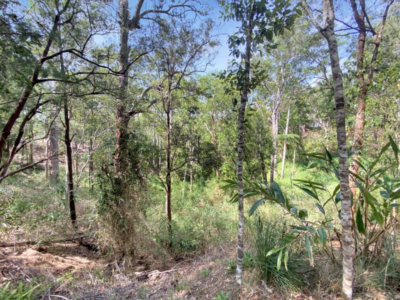 5 Dielhof Drive, Wondecla QLD 4887