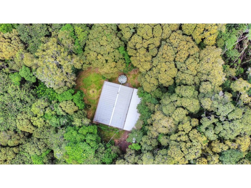 156 Russell Pocket Road, Yungaburra QLD 4884