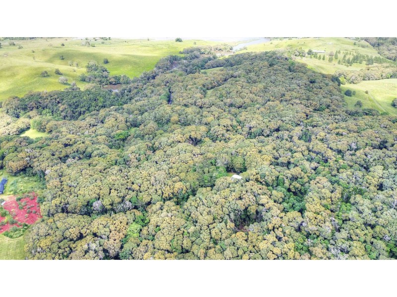 156 Russell Pocket Road, Yungaburra QLD 4884
