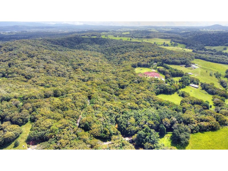 156 Russell Pocket Road, Yungaburra QLD 4884