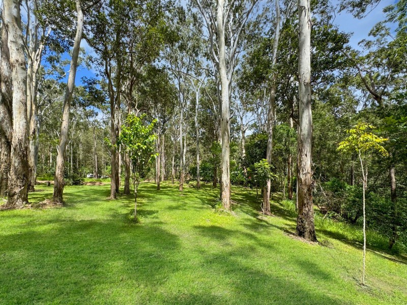 5 Wayne Bishop Road, Wondecla QLD 4887