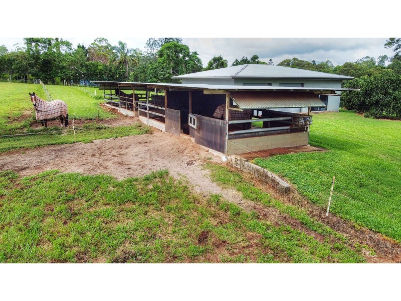 166 McLeish Road, Lake Eacham QLD 4884