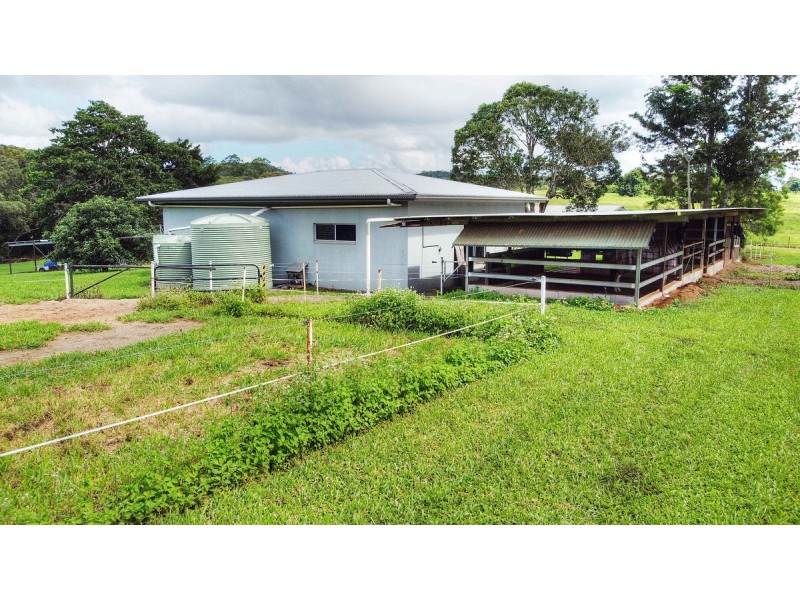 166 McLeish Road, Lake Eacham QLD 4884