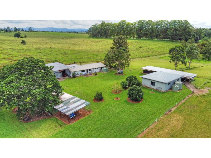 166 McLeish Road, Lake Eacham QLD 4884