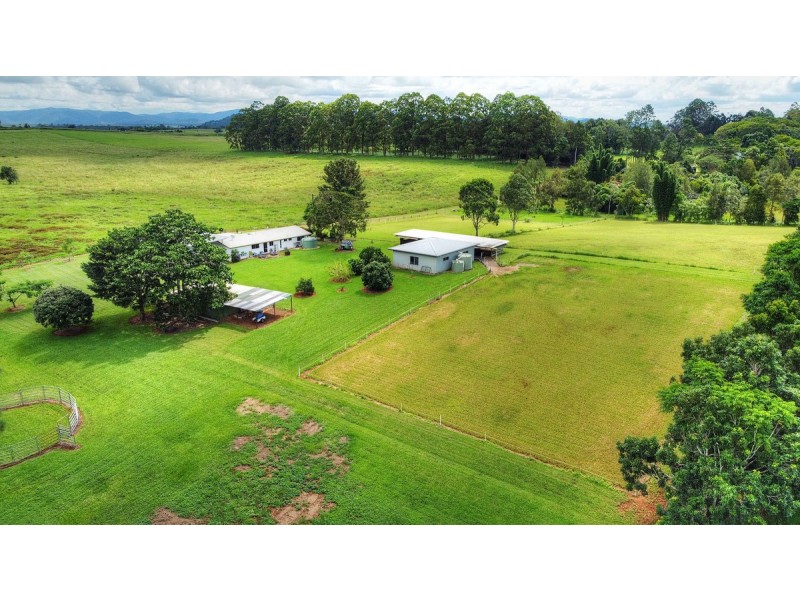 166 McLeish Road, Lake Eacham QLD 4884