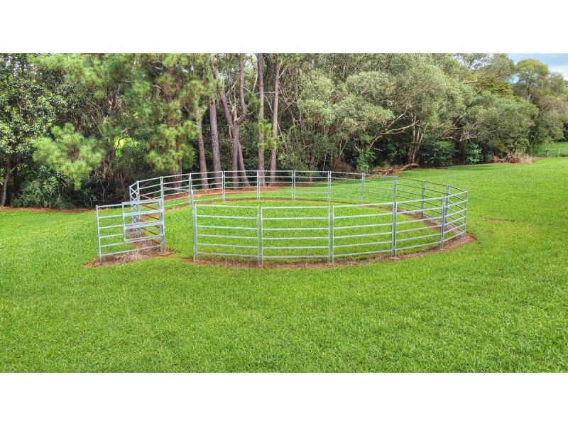 166 McLeish Road, Lake Eacham QLD 4884