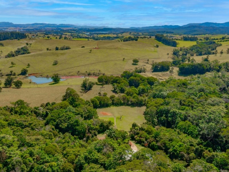 3066 Gillies Range Road, Lake Barrine QLD 4884