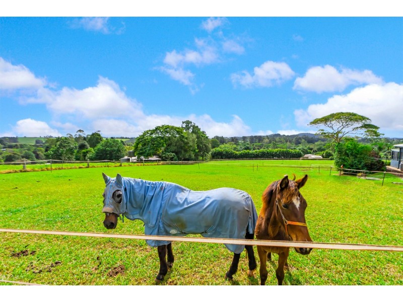 22 Mathers Road, Malanda QLD 4885