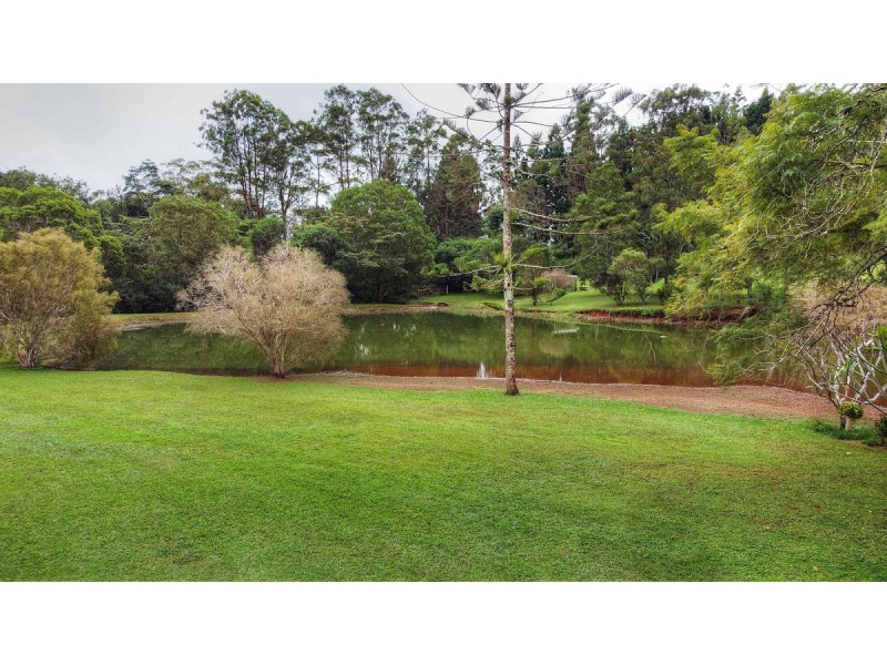 49 Glaspy Road, Malanda QLD 4885