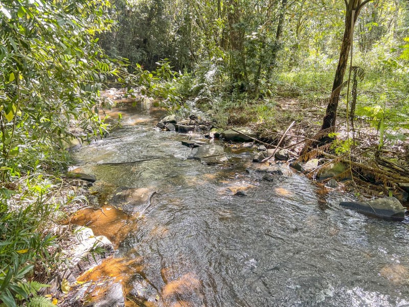 416 Hogan Road, Tarzali QLD 4885