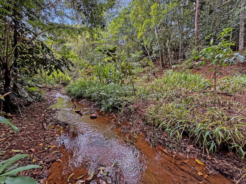 Lot 72 Cox Road, Peeramon QLD 4885