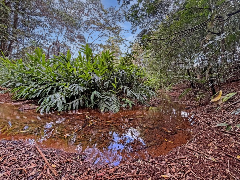 Lot 72 Cox Road, Peeramon QLD 4885