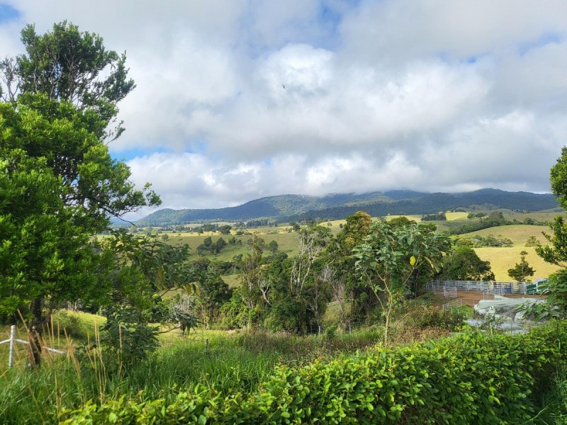 261 Kjellberg Road, Beatrice QLD 4886