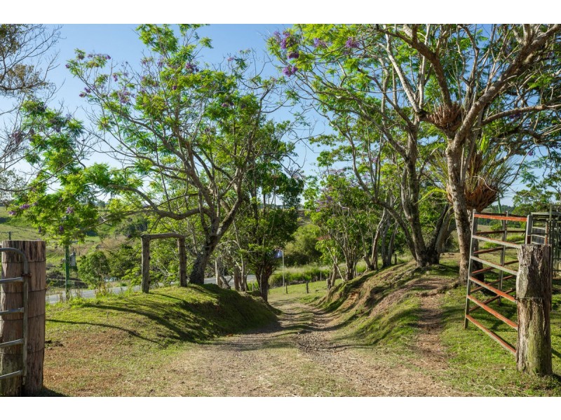 788 Millaa Millaa Malanda Road, Minbun QLD 4886