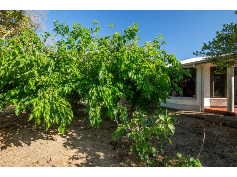 788 Millaa Millaa Malanda Road, Minbun QLD 4886