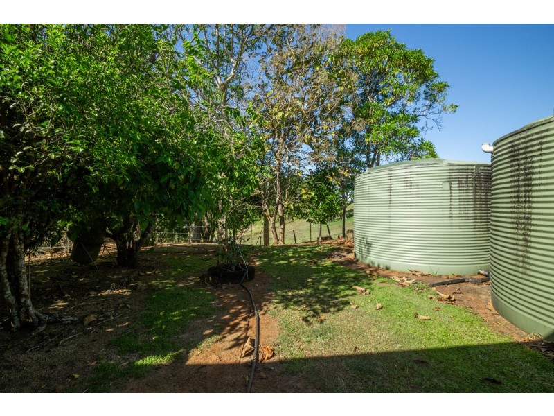 788 Millaa Millaa Malanda Road, Minbun QLD 4886