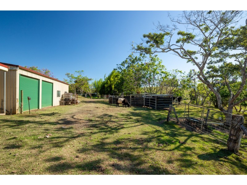 788 Millaa Millaa Malanda Road, Minbun QLD 4886