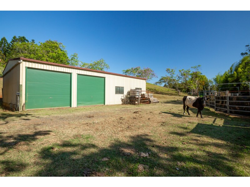 788 Millaa Millaa Malanda Road, Minbun QLD 4886