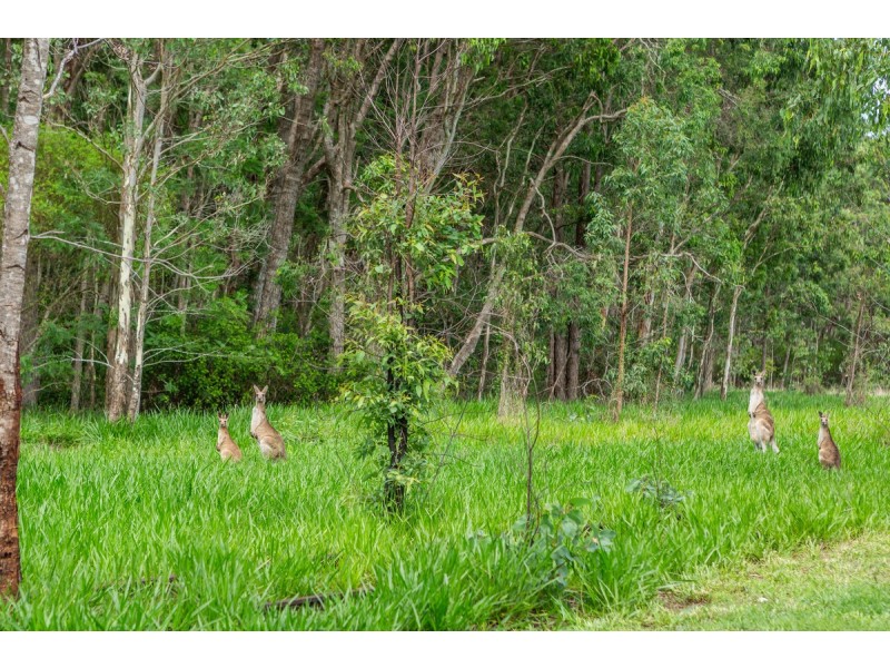 14 Condon Road, Tumoulin QLD 4888