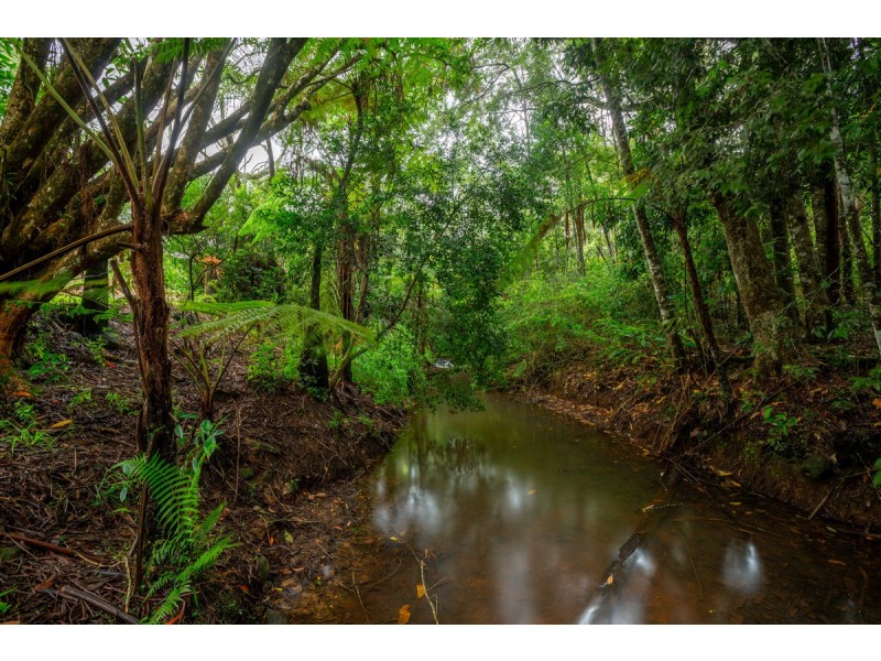 111 Martin Road, Evelyn QLD 4888