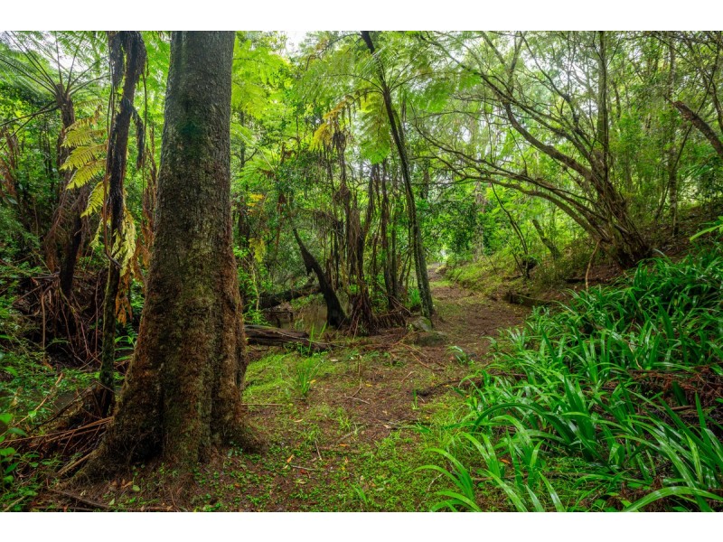 111 Martin Road, Evelyn QLD 4888