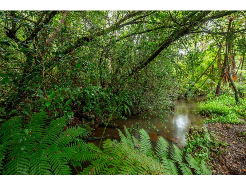 111 Martin Road, Evelyn QLD 4888