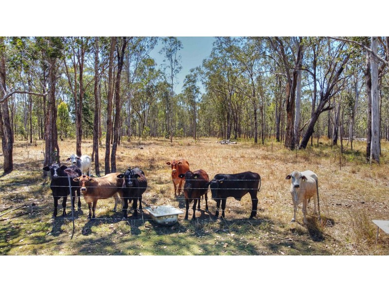 51 Arbouin Road, Kaban QLD 4888