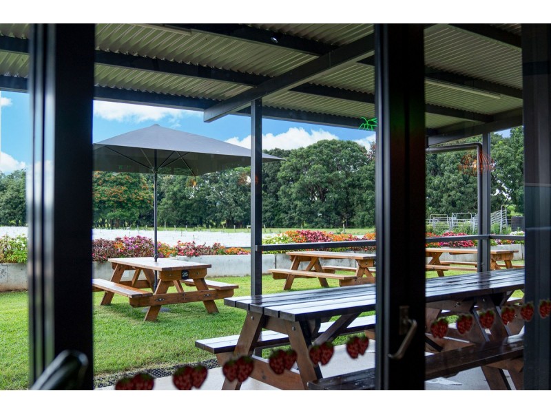 255 Marks Lane, Atherton QLD 4883