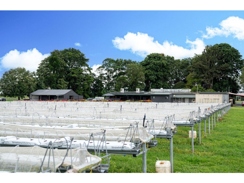 255 Marks Lane, Atherton QLD 4883