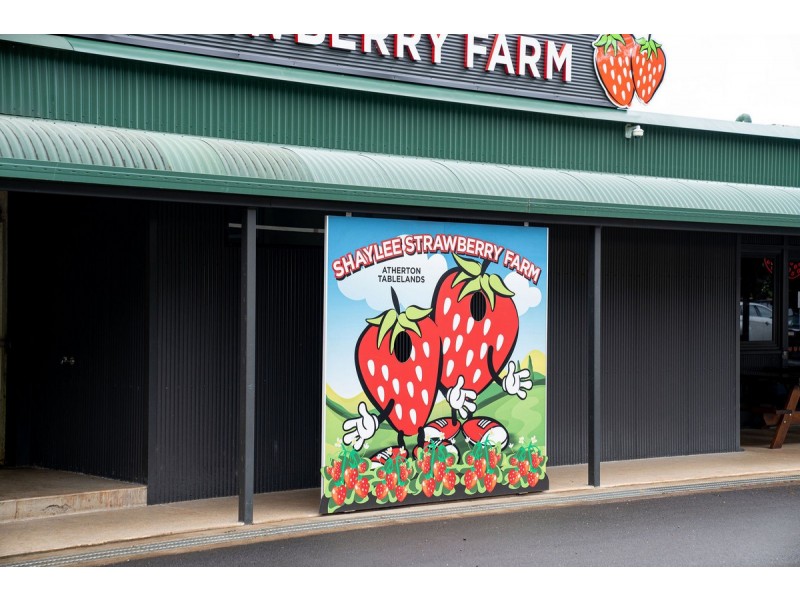 255 Marks Lane, Atherton QLD 4883