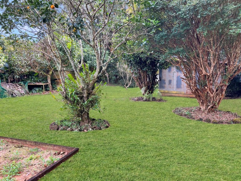 21 Beech Street, Yungaburra QLD 4884