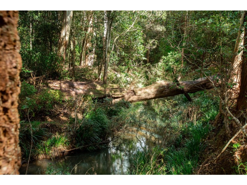 566 Tully Falls Road, Ravenshoe QLD 4888