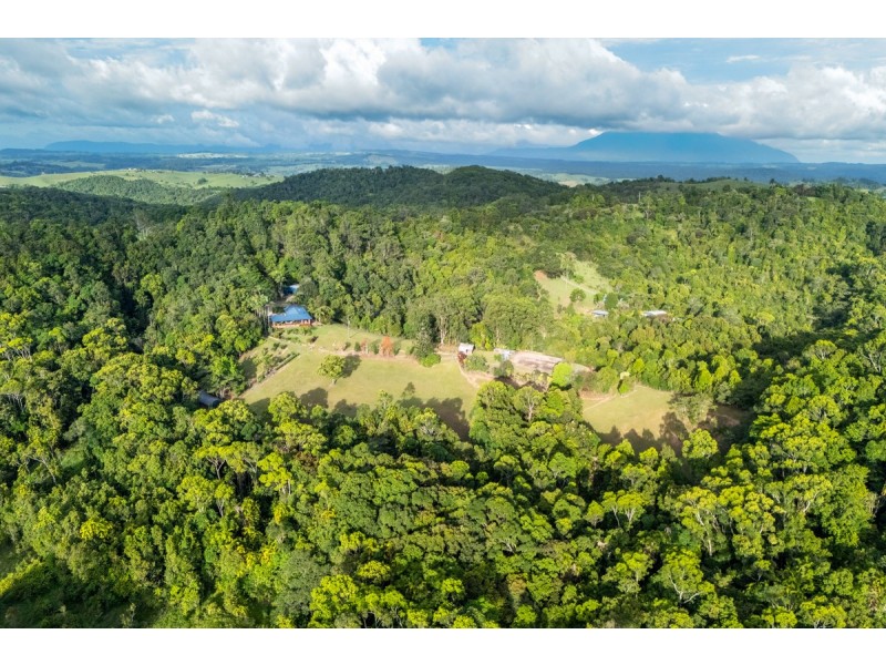 222 Hitchconole Road, Tarzali QLD 4885