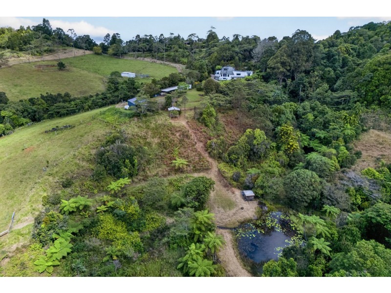 221 Hitchconole Road, Tarzali QLD 4885